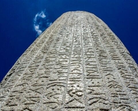 tore-lider-millet-olmak